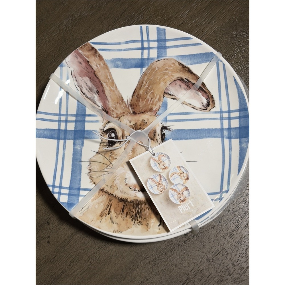 PIER 1 import~Set of 4 HENRY BUNNY Salad Plates 9" EASTER Rabbit Blue Plaid